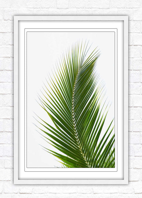Picture frame palm leaf white background wall art frame included green leaf