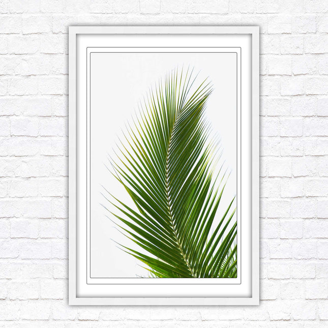 Picture frame palm leaf white background wall art frame included green leaf