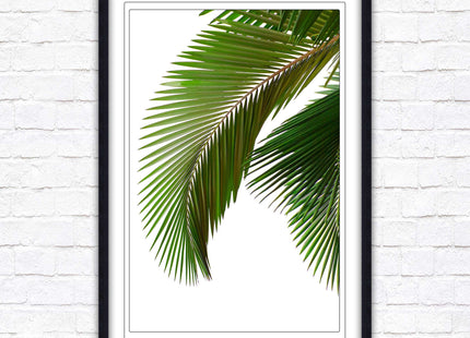 Picture frame palm leaf white background wall art frame included green leaf