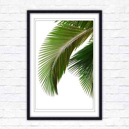 Picture frame palm leaf white background wall art frame included green leaf