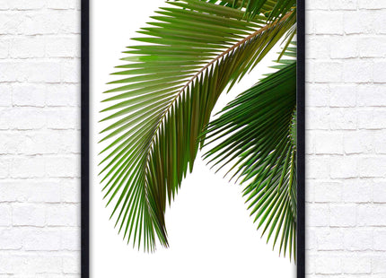 Picture frame palm leaf white background wall art frame included green leaf