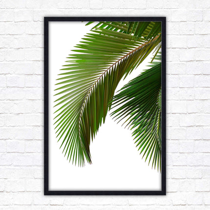 Picture frame palm leaf white background wall art frame included green leaf