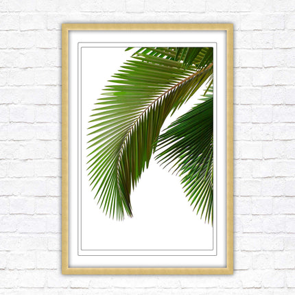 Picture frame palm leaf white background wall art frame included green leaf