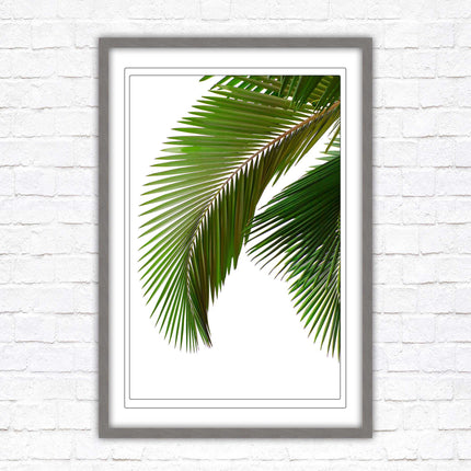 Picture frame palm leaf white background wall art frame included green leaf