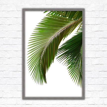 Picture frame palm leaf white background wall art frame included green leaf