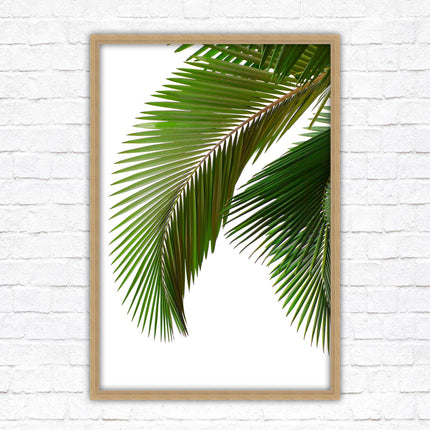 Picture frame palm leaf white background wall art frame included green leaf
