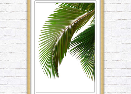 Palm leaf. Printed, Framed picture with choice of frame colours and options.