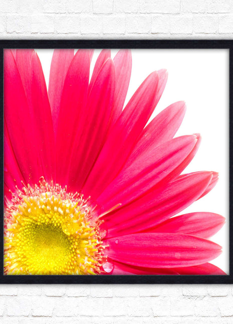 Pink flower. Framed picture print. A choice of frames and sizes, square.