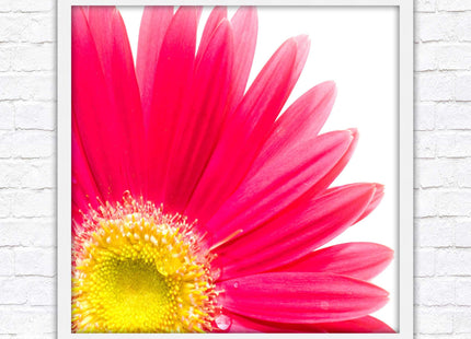 Pink flower. Framed picture print. A choice of frames and sizes, square.