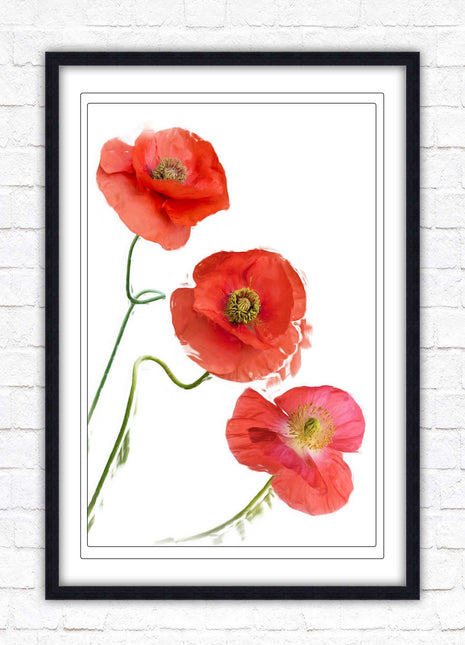 Poppies , Framed picture with choice of frame colours and options.