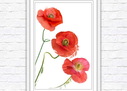 Poppies , Framed picture with choice of frame colours and options.