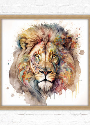 Lion colour splash art prined framed picture gold grey white black frames