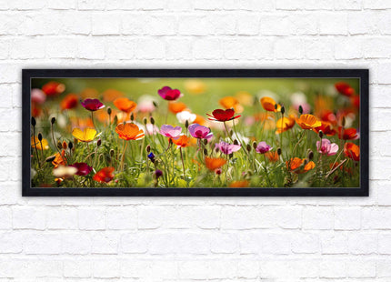 Wild flowers. Bright summer colours grass framed picture print choice frame