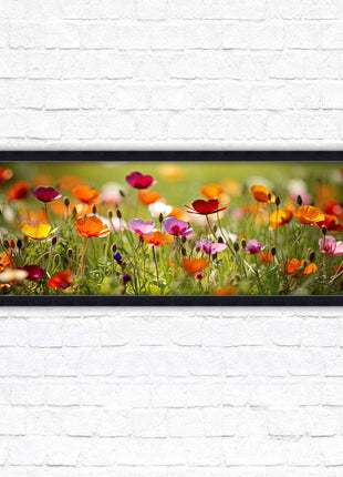 Wild flowers. Bright summer colours grass framed picture print choice frame