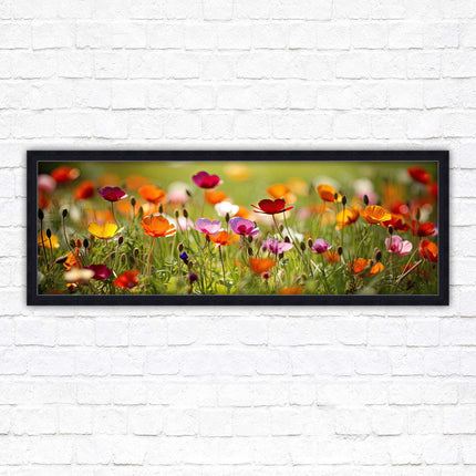 Wild flowers. Bright summer colours grass framed picture print choice frame