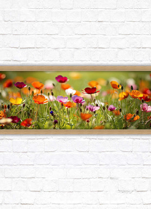 Wild flowers. Bright summer colours grass framed picture print choice frame