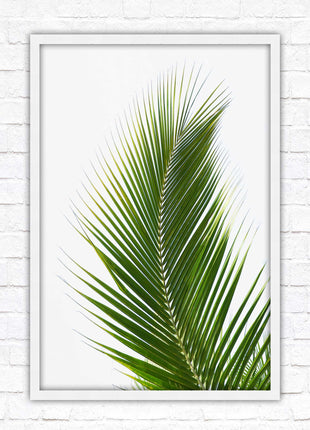 Picture frame palm leaf white background wall art frame included green leaf