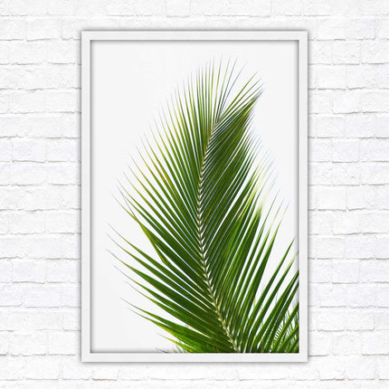 Picture frame palm leaf white background wall art frame included green leaf