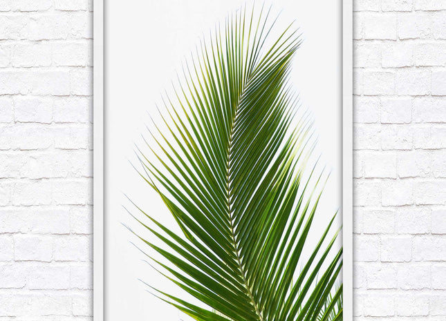 Picture frame palm leaf white background wall art frame included green leaf