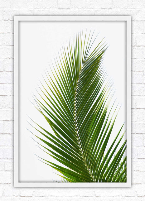 Picture frame palm leaf white background wall art frame included green leaf