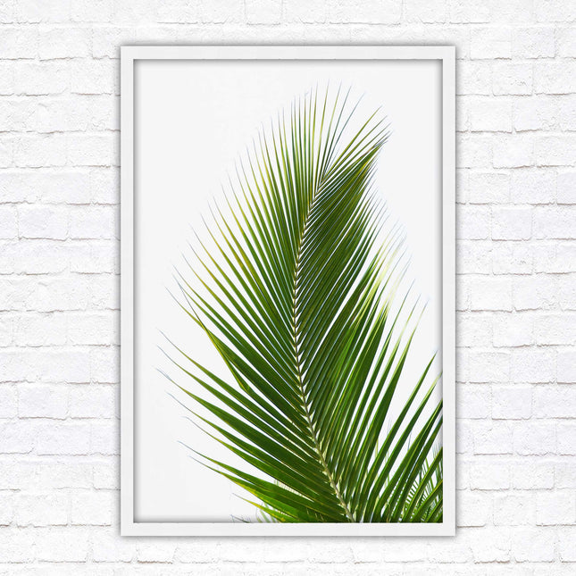 Picture frame palm leaf white background wall art frame included green leaf