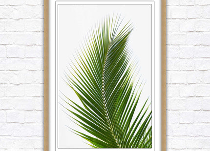 Picture frame palm leaf white background wall art frame included green leaf