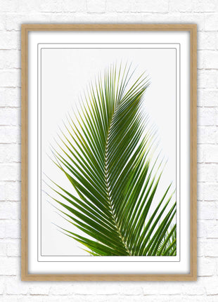 Picture frame palm leaf white background wall art frame included green leaf