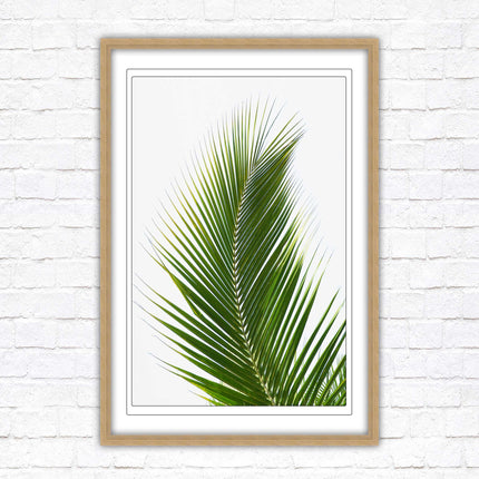 Picture frame palm leaf white background wall art frame included green leaf