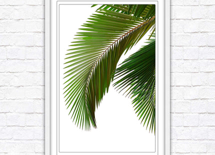 Palm leaf. Printed, Framed picture with choice of frame colours and options.