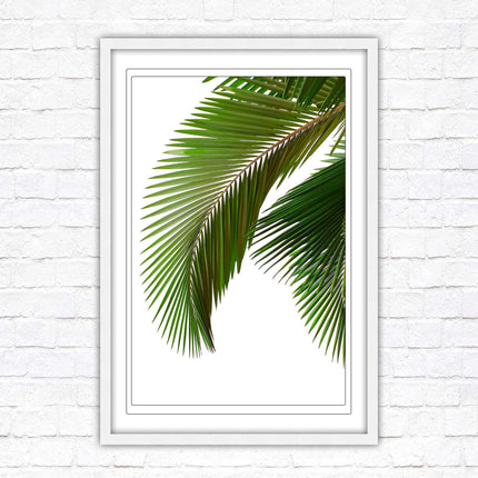Palm leaf. Printed, Framed picture with choice of frame colours and options.
