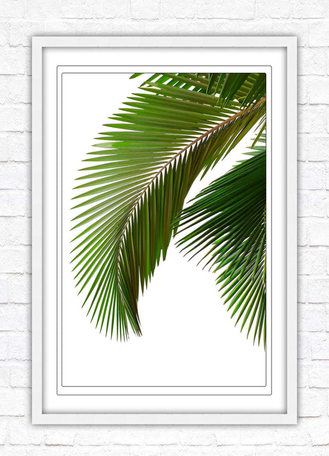 Palm leaf. Printed, Framed picture with choice of frame colours and options.