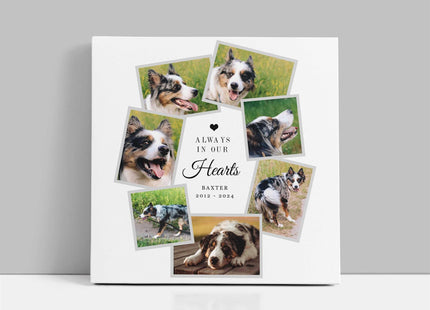 Pet memories, dog or cat memorial canvas picture print