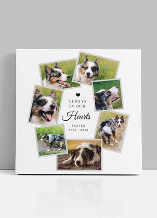 Pet memories, dog or cat memorial canvas picture print