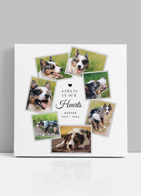 Pet memories, dog or cat memorial canvas picture print