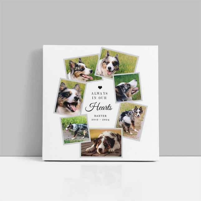 Pet memories, dog or cat memorial canvas picture print