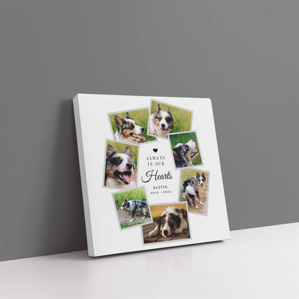 Pet memories, dog or cat memorial canvas picture print