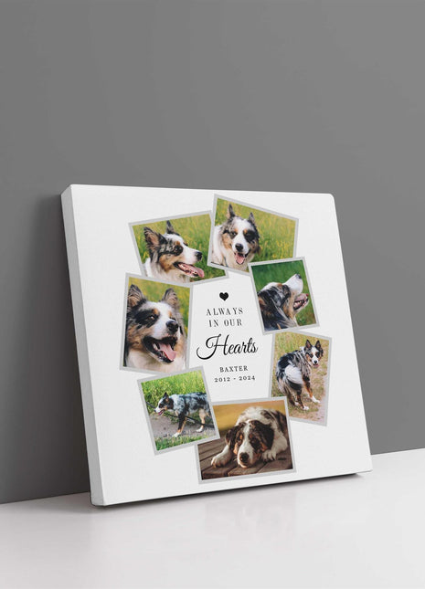 Pet memories, dog or cat memorial canvas picture print