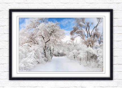 beautiful snow trees sunnry day winter scene. Framed picture with choice of frame colours