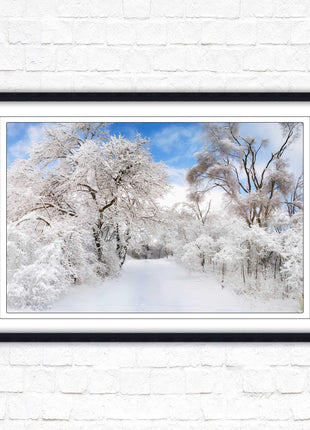 beautiful snow trees sunnry day winter scene. Framed picture with choice of frame colours