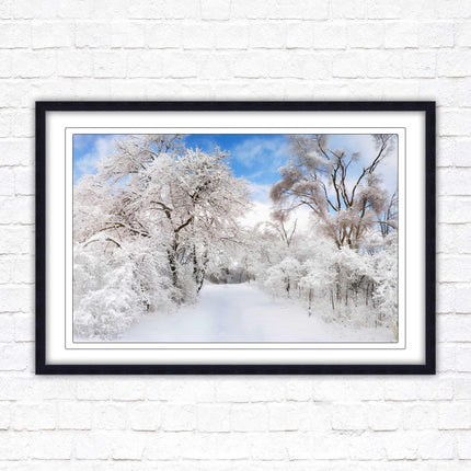 beautiful snow trees sunnry day winter scene. Framed picture with choice of frame colours