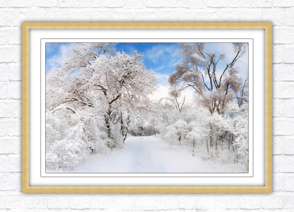 beautiful snow trees sunnry day winter scene. Framed picture with choice of frame colours