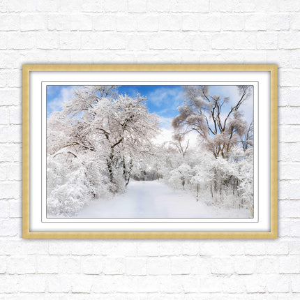 beautiful snow trees sunnry day winter scene. Framed picture with choice of frame colours