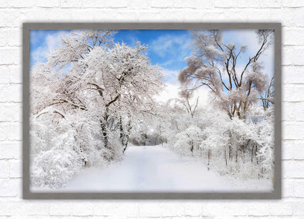beautiful snow trees sunnry day winter scene. Framed picture with choice of frame colours