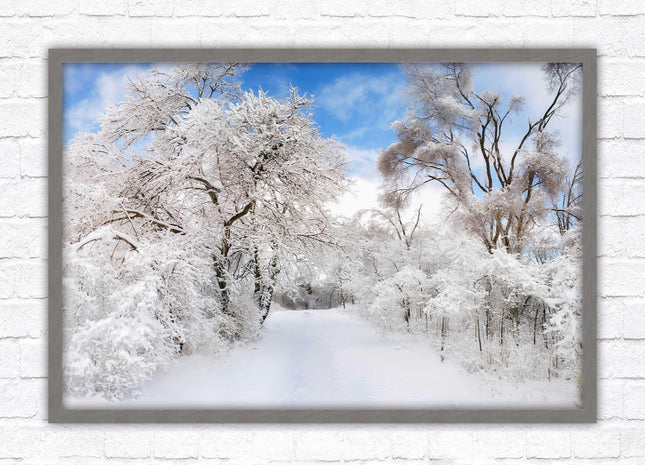 beautiful snow trees sunnry day winter scene. Framed picture with choice of frame colours