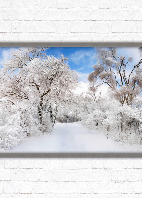 beautiful snow trees sunnry day winter scene. Framed picture with choice of frame colours