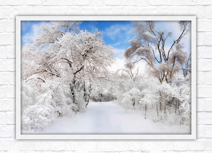 beautiful snow trees sunnry day winter scene. Framed picture with choice of frame colours