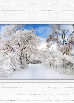 beautiful snow trees sunnry day winter scene. Framed picture with choice of frame colours