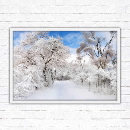 beautiful snow trees sunnry day winter scene. Framed picture with choice of frame colours