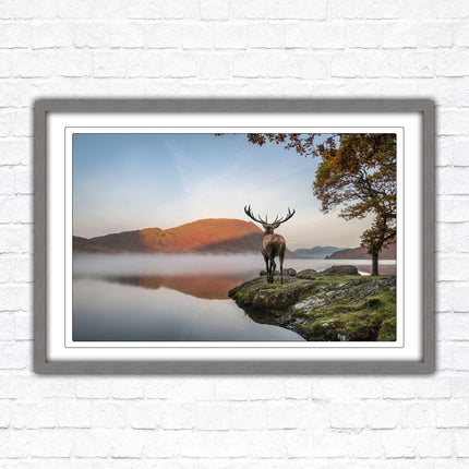 Stag by the lake. Framed picture with choice of frame colours and options.