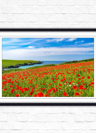 Poppies near PollyJoke beach, Cornwall. Framed picture print with choice of frame colours
